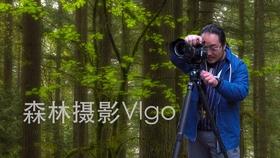 逃出熊蜂森林