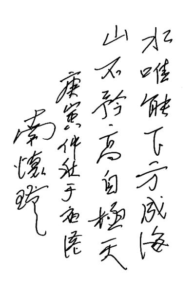 拯救机智男孩