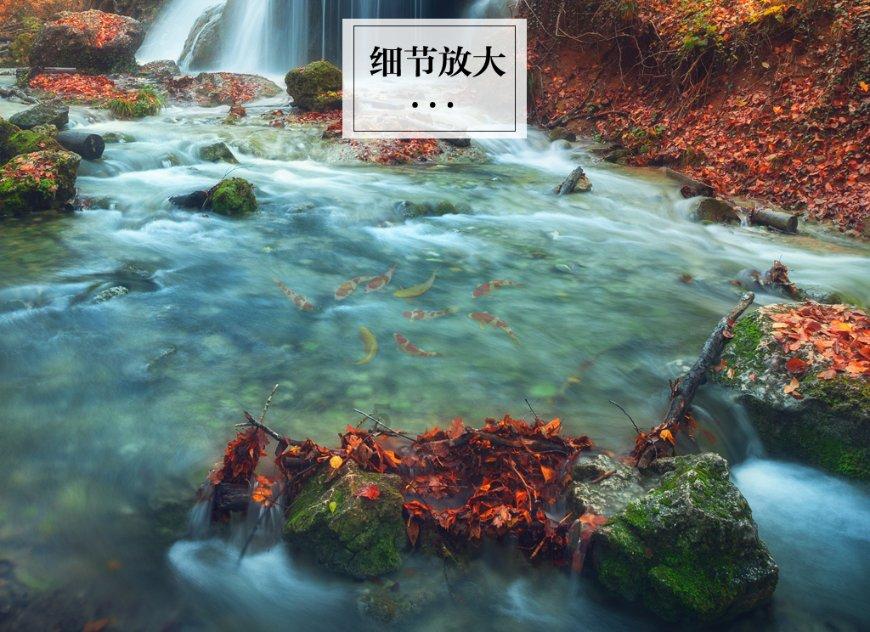 美丽乡村别墅逃生
